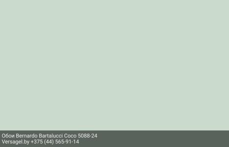 Обои Bernardo Bartalucci Coco 5088-24