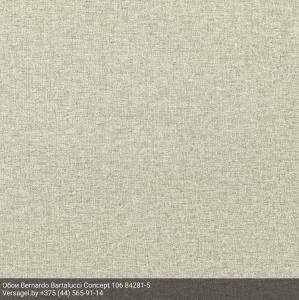 Обои Bernardo Bartalucci Concept 106 84281-5