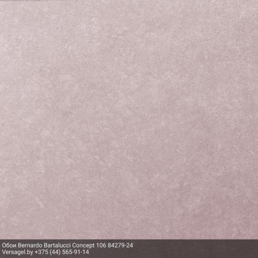 Обои Bernardo Bartalucci Concept 106 84279-24