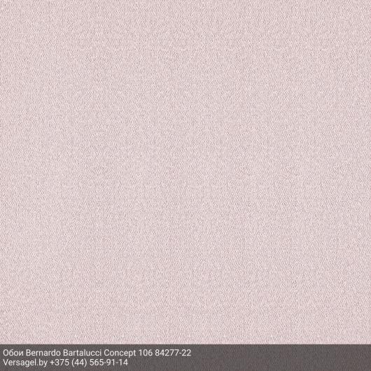 Обои Bernardo Bartalucci Concept 106 84277-22