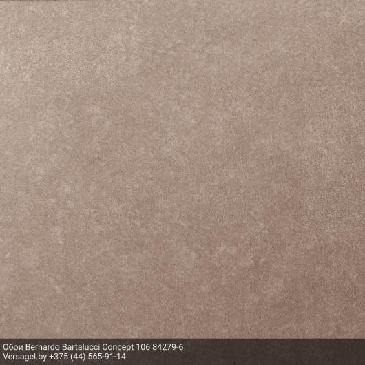 Обои Bernardo Bartalucci Concept 106 84279-6