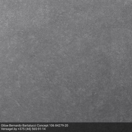 Обои Bernardo Bartalucci Concept 106 84279-20