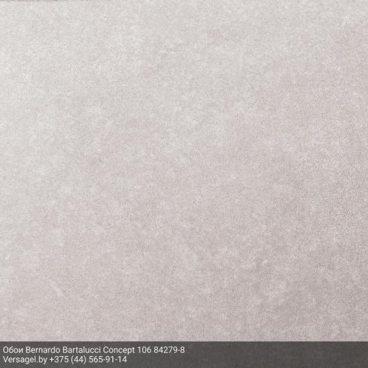 Обои Bernardo Bartalucci Concept 106 84279-8