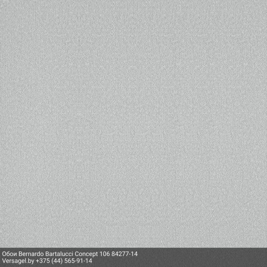 Обои Bernardo Bartalucci Concept 106 84277-14