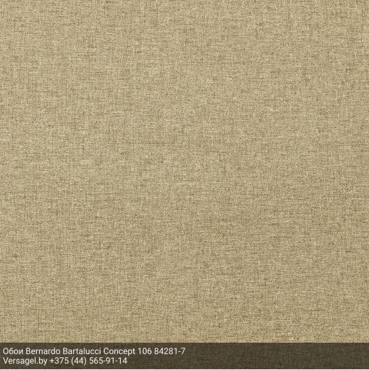 Обои Bernardo Bartalucci Concept 106 84281-7