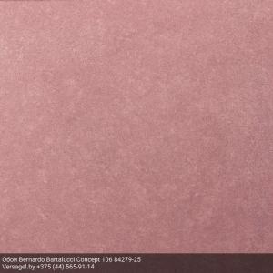 Обои Bernardo Bartalucci Concept 106 84279-25