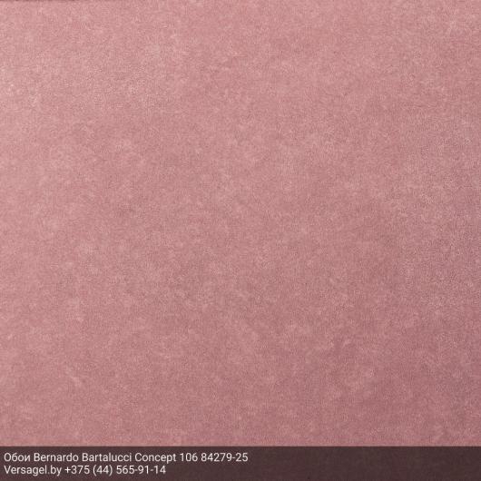 Обои Bernardo Bartalucci Concept 106 84279-25