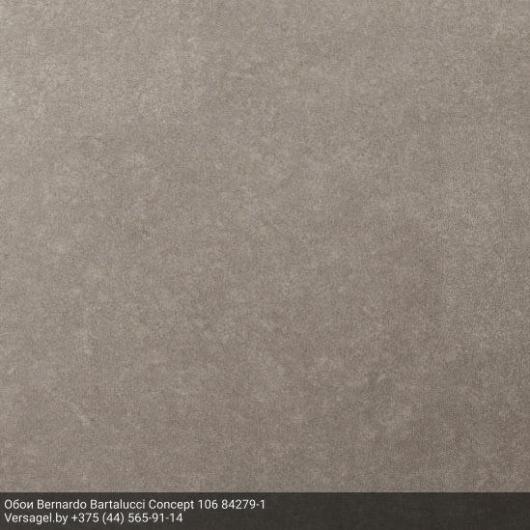 Обои Bernardo Bartalucci Concept 106 84279-1