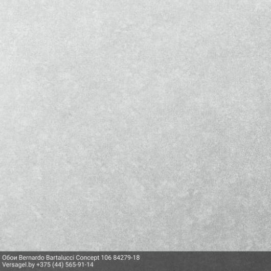 Обои Bernardo Bartalucci Concept 106 84279-18