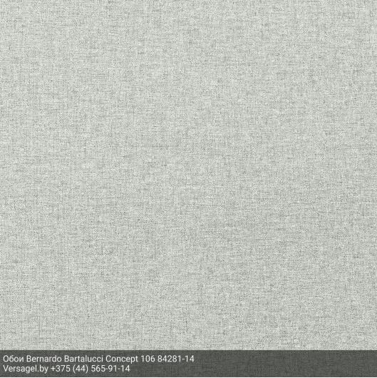 Обои Bernardo Bartalucci Concept 106 84281-14