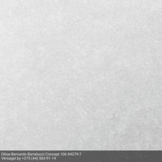 Обои Bernardo Bartalucci Concept 106 84279-7