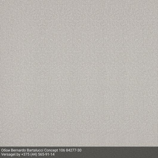 Обои Bernardo Bartalucci Concept 106 84277-30