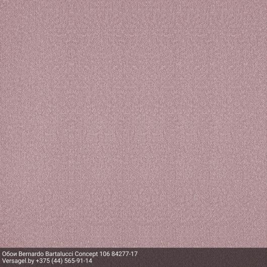 Обои Bernardo Bartalucci Concept 106 84277-17
