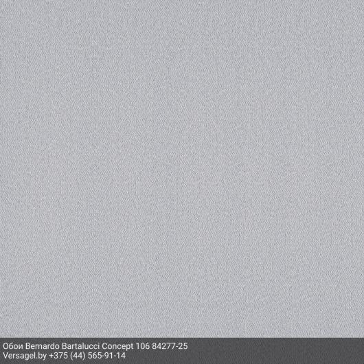 Обои Bernardo Bartalucci Concept 106 84277-25