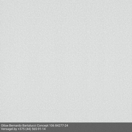 Обои Bernardo Bartalucci Concept 106 84277-24