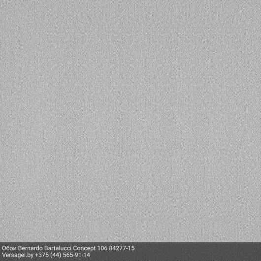 Обои Bernardo Bartalucci Concept 106 84277-15