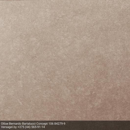 Обои Bernardo Bartalucci Concept 106 84279-9