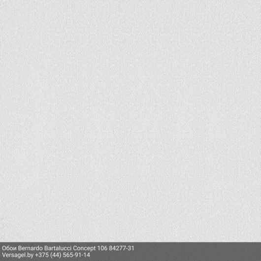 Обои Bernardo Bartalucci Concept 106 84277-31