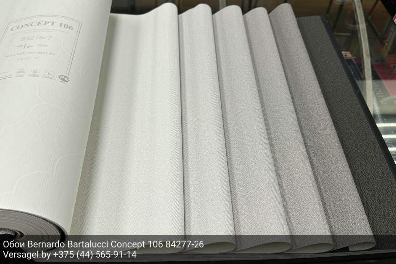 Обои Bernardo Bartalucci Concept 106 84277-26