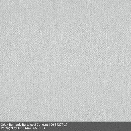 Обои Bernardo Bartalucci Concept 106 84277-27