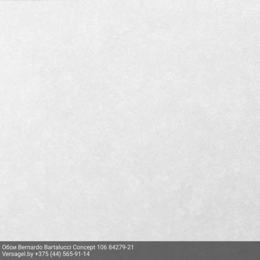 Обои Bernardo Bartalucci Concept 106 84279-21