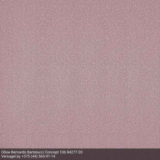 Обои Bernardo Bartalucci Concept 106 84277-20