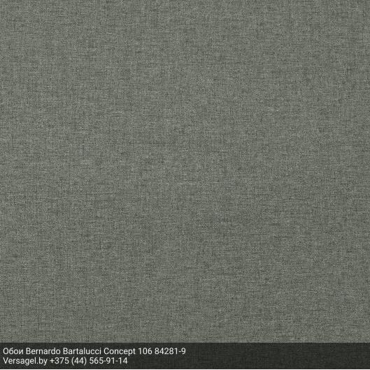 Обои Bernardo Bartalucci Concept 106 84281-9