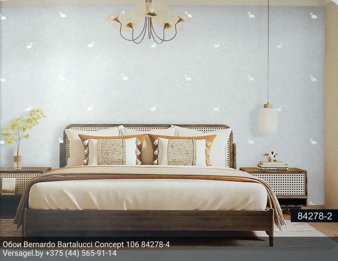 Обои Bernardo Bartalucci Concept 106 84278-4