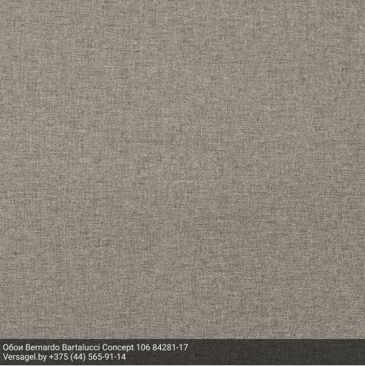 Обои Bernardo Bartalucci Concept 106 84281-17