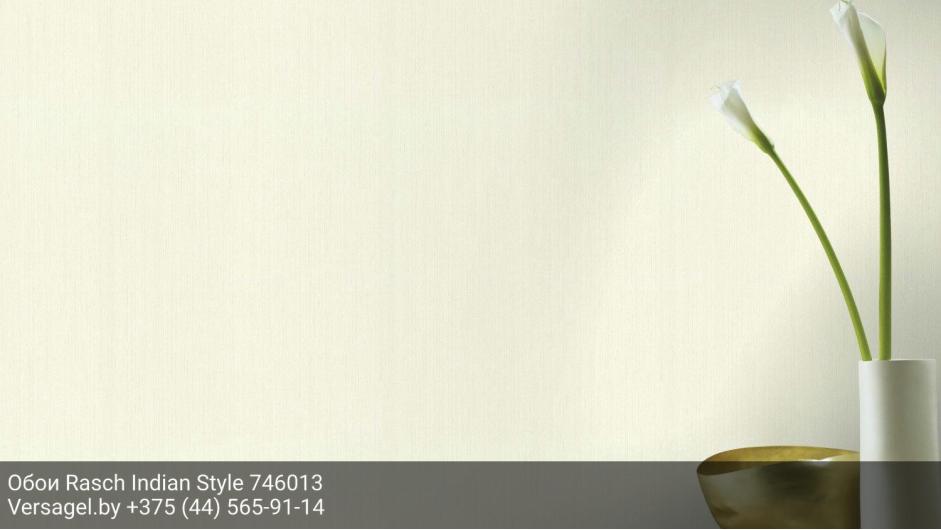 Обои Rasch Indian Style 746013