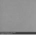 Обои Bernardo Bartalucci Legend 5068-8