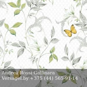 Обои Andrea Rossi Gallinara 54316-1