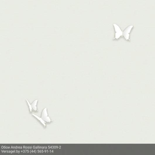 Обои Andrea Rossi Gallinara 54309-2