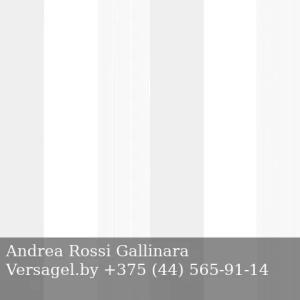 Обои Andrea Rossi Gallinara 54313-1