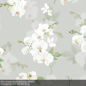 Обои Andrea Rossi Stromboli 54342-5