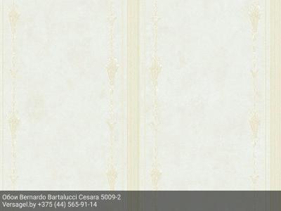 Обои Bernardo Bartalucci Cesara 5009-2
