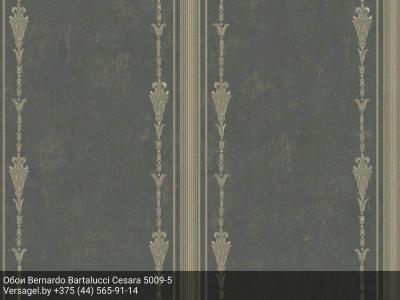 Обои Bernardo Bartalucci Cesara 5009-5