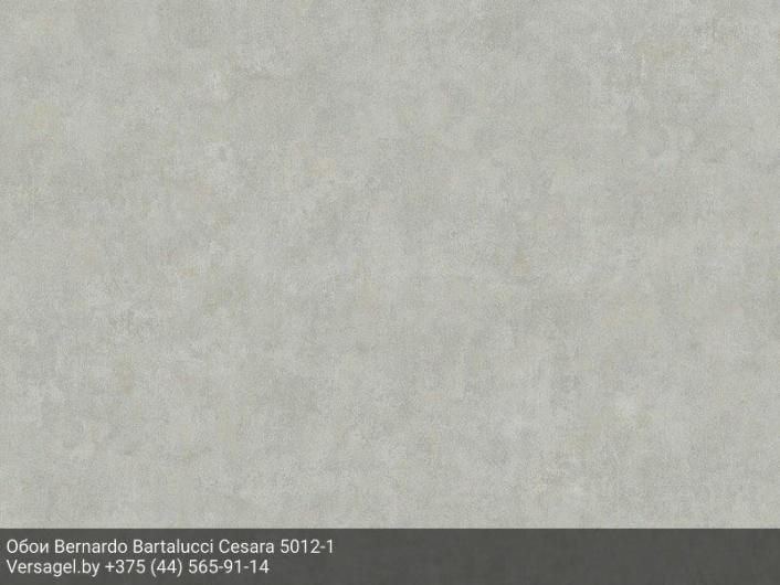 Обои Bernardo Bartalucci Cesara 5012-1