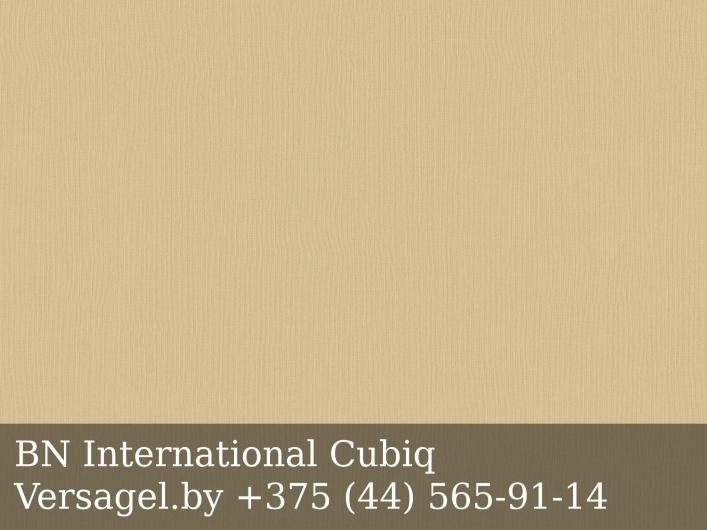Обои BN International Cubiq 220391
