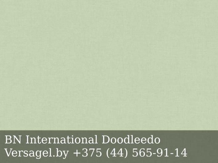 Обои BN International Doodleedo 220802