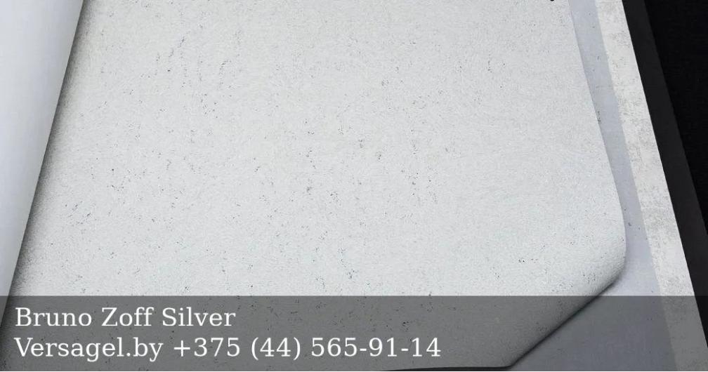 Обои Bruno Zoff Silver 60118-1