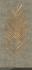 Обои Marburg Natural Opulence 33274