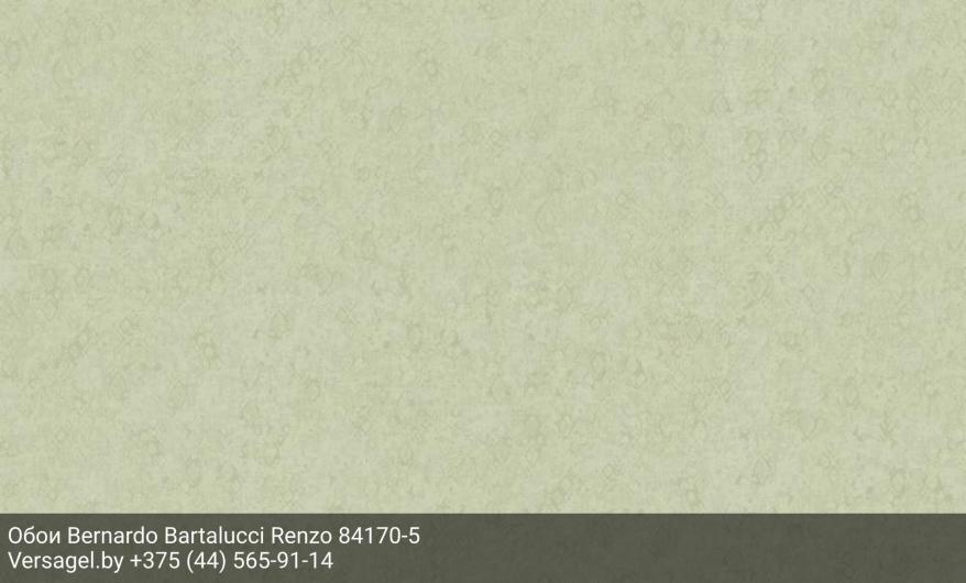 Обои Bernardo Bartalucci Renzo 84170-5