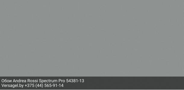 Обои Andrea Rossi Spectrum Pro 54381-13