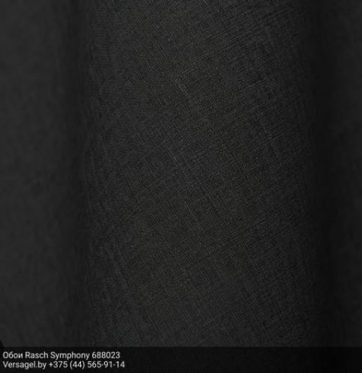 Обои Rasch Symphony 688023