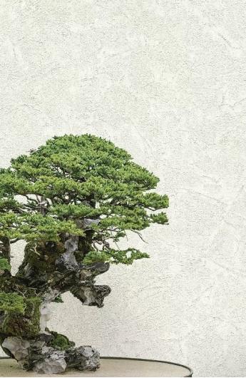 Обои Decori & Decori Zen 72965